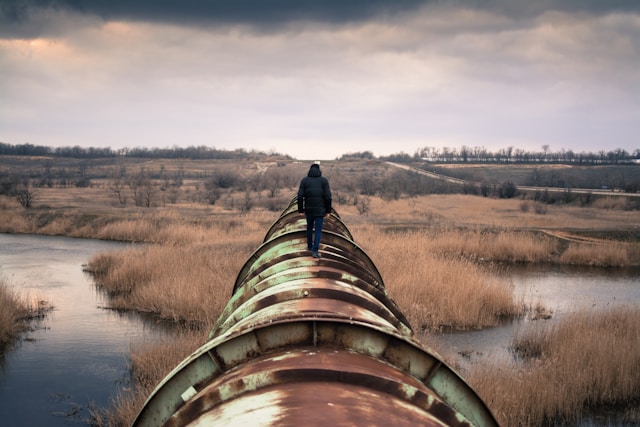 Adversarial Robustness Pipelines