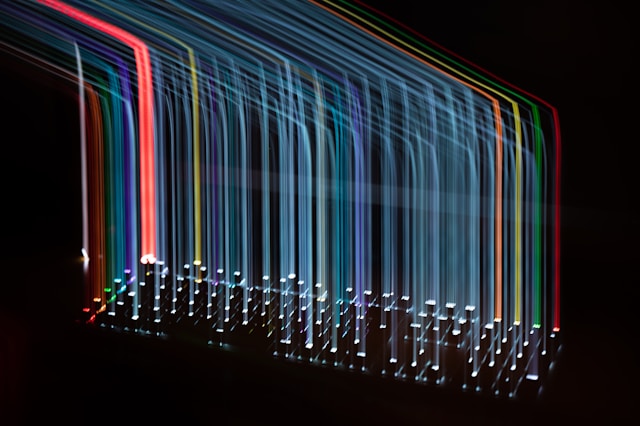 Hardware-Enforced AI Security: Fortifying Your Models from the Ground Up
