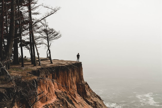 Securing the Edge: Lightweight Architectures for Robust AI